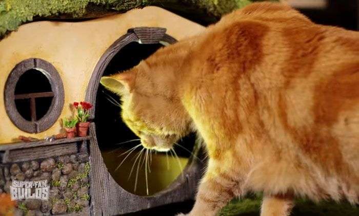 Котячий будинок шанувальника фентезі (16 фото)