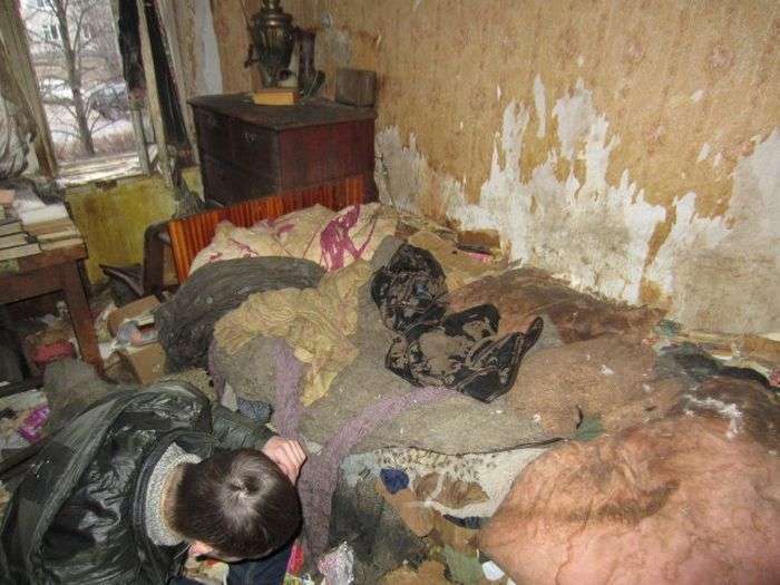 В порожній Петрозаводської квартирі жили понад 20 кішок (9 фото)