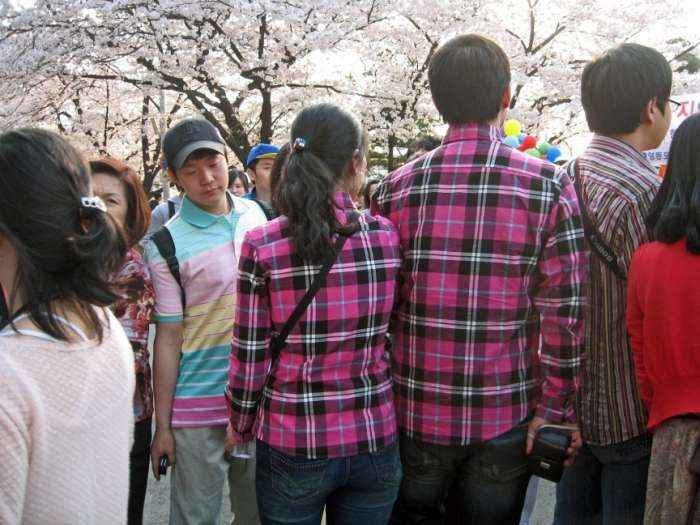 Дивні норми життя жителів Південної Кореї (10 фото)