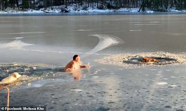 Тимофей Юрьев — житель Нью-Йорка спас двух собак из ледяной воды Интересное