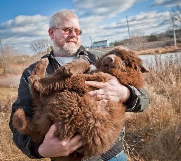 20+ раз, когда люди мечтали о ручном медведе, но завели собаку — и не прогадали Интересное