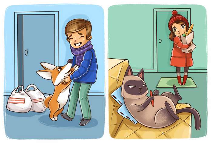 Комикс о том, почему собаки и кошки все-таки с разных планет Интересное