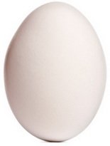 Сравнение яиц домашней птицы по вкусу, питательности и пользе питание
