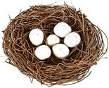 Сравнение яиц домашней птицы по вкусу, питательности и пользе питание