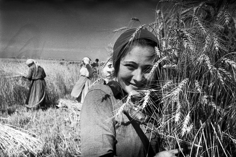Советская эпоха в фотографиях Маркова-Гринберга фотография
