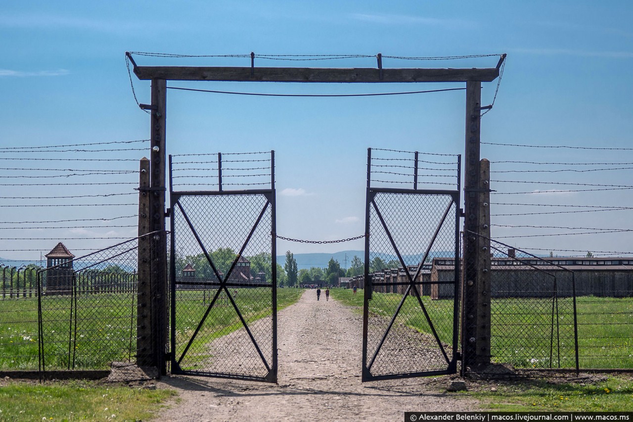 Реновация Освенцима : кто и как живёт в бывших бараках лагеря смерти лагерь смерти
