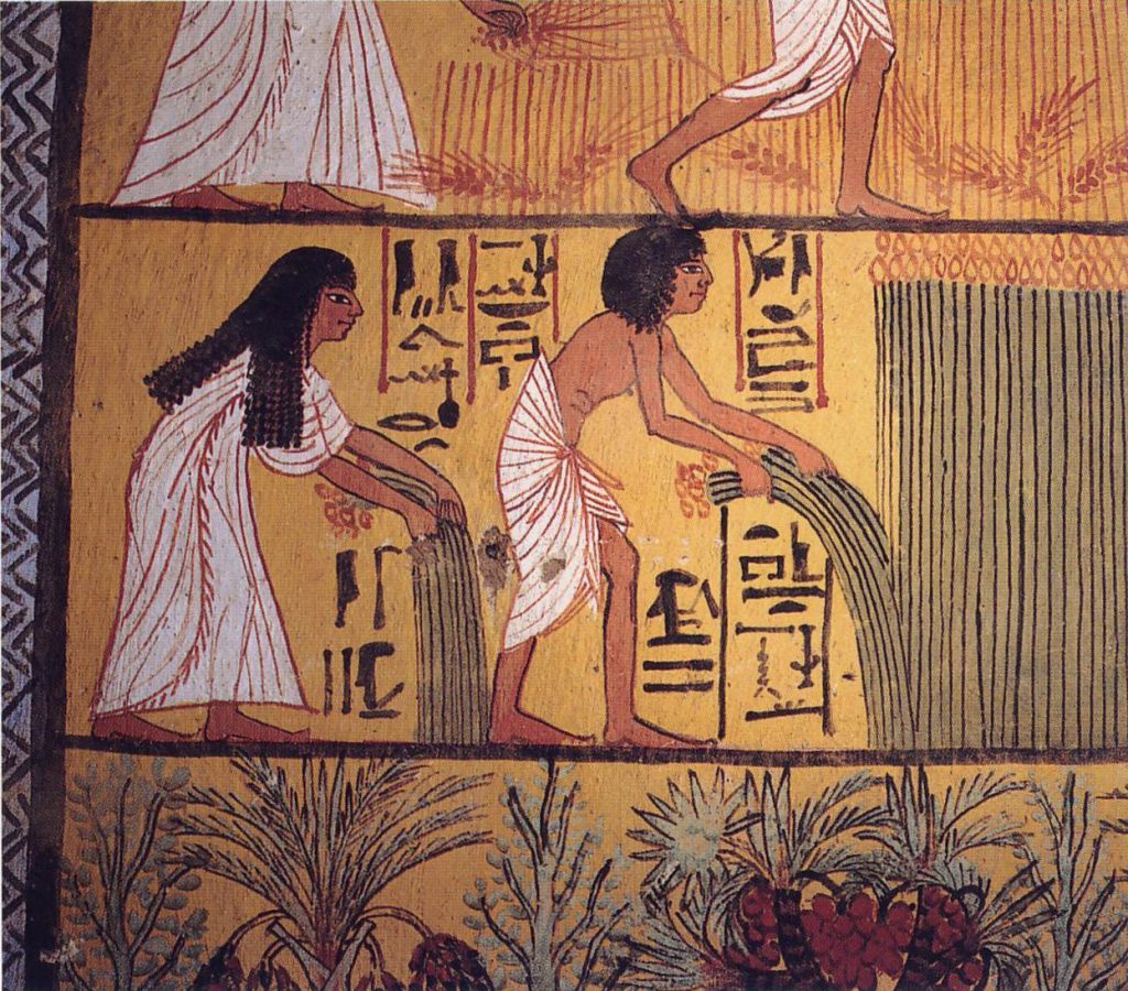 Кухня Древнего Египта: что ели фараоны археология